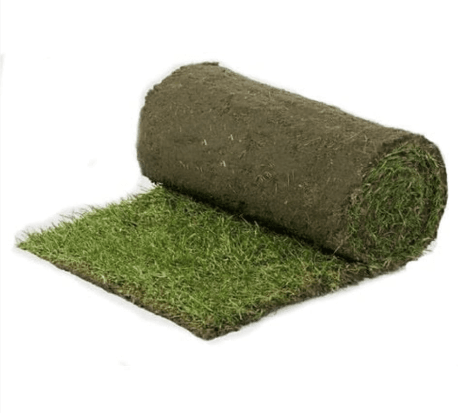 Premium Graszoden